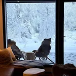 Daire Aurora Pines I Sauna I Terrace I Luxury Kittilä
