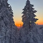 Aurora Pines I Sauna I Terrace I Luxury