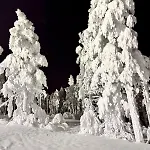 Aurora Pines I Sauna I Terrace I Luxury *
