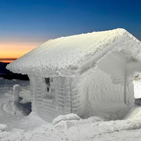 Aurora Pines I Sauna I Terrace I Luxury Kittilä