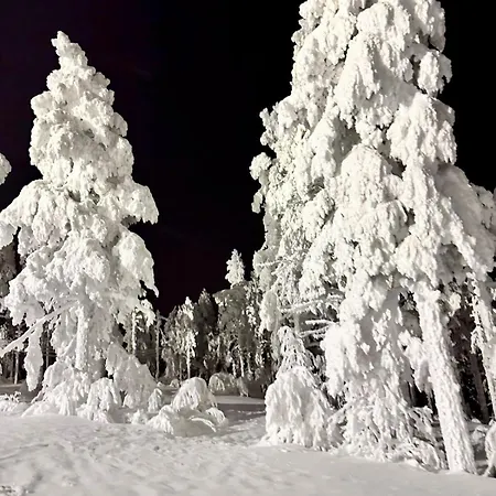Aurora Pines I Sauna I Terrace I Luxury *