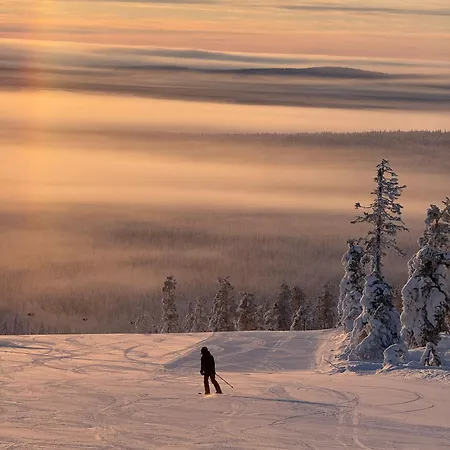 Aurora Pines I Sauna I Terrace I Luxury Apartment