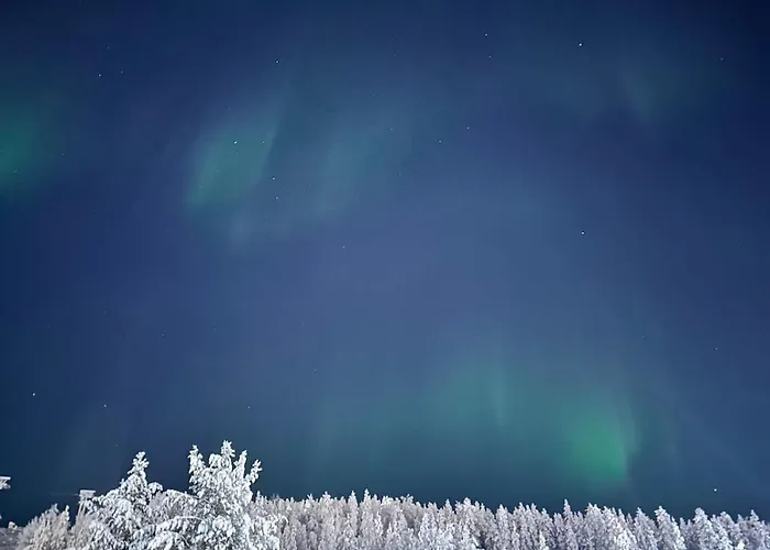 Aurora Pines I Sauna I Terrace I Luxury *