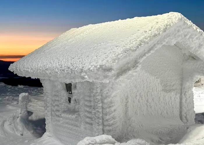 Aurora Pines I Sauna I Terrace I Luxury Kittilä